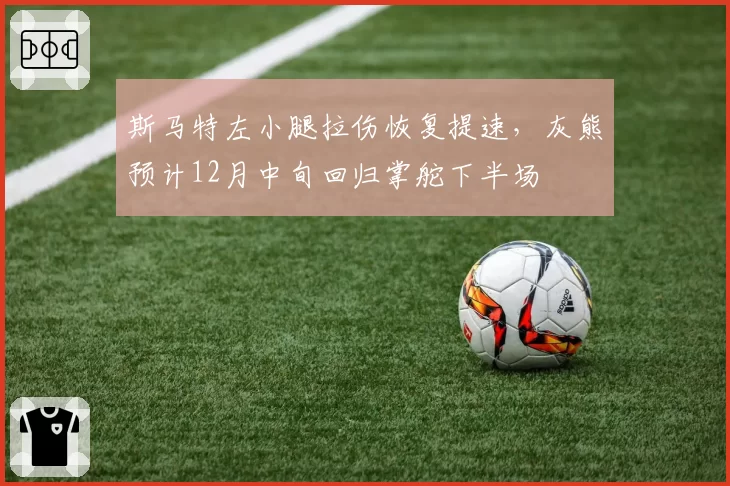 斯马特左小腿拉伤恢复提速，灰熊预计12月中旬回归掌舵下半场