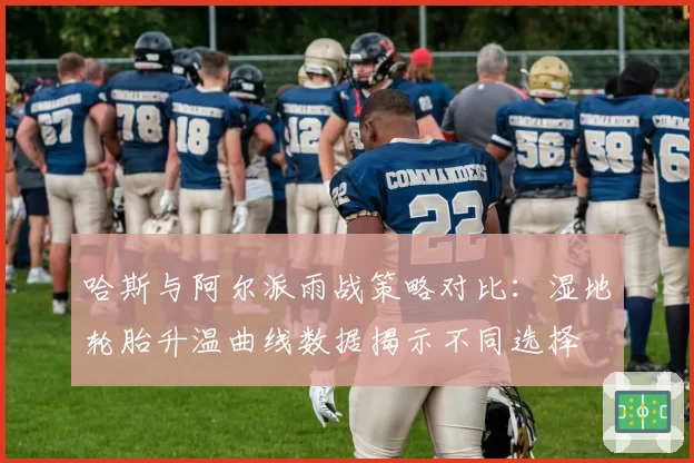 哈斯与阿尔派雨战策略对比:湿地轮胎升温曲线数据揭示不同选择
