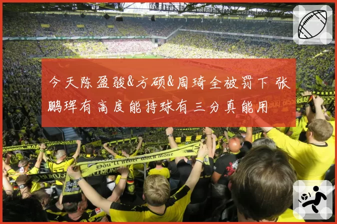 今天陈盈骏&方硕&周琦全被罚下 张鹏珲有高度能持球有三分真能用