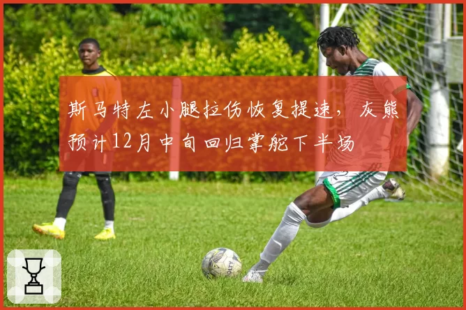 斯马特左小腿拉伤恢复提速，灰熊预计12月中旬回归掌舵下半场
